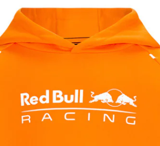 Red Bull Max Verstappen Kids Sweater, Hooded, Orange, 2022