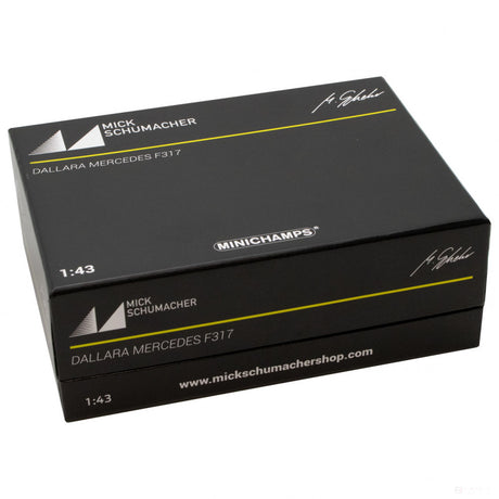 Mick Schumacher Model Car, Dallara Mercedes F317 F3 European Champion 2018, 1:43 scale, White, 2018 - FansBRANDS®