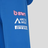 Alpine hoodie, team, blue, 2026